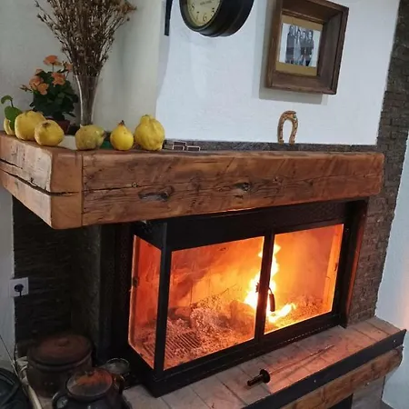 Ktm Lisine