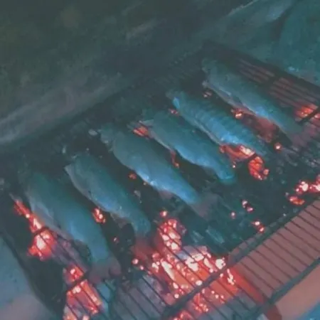 Ktm Lisine Вилла Деспотовац