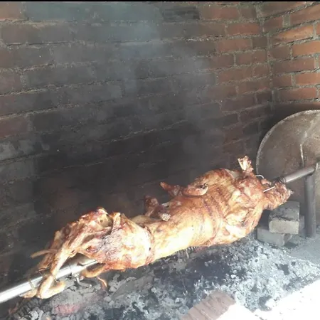 Ktm Lisine * Деспотовац