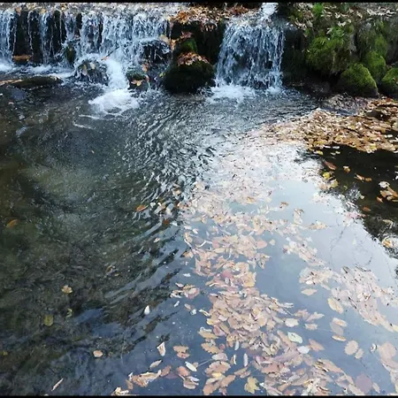 Вилла Ktm Lisine Деспотовац