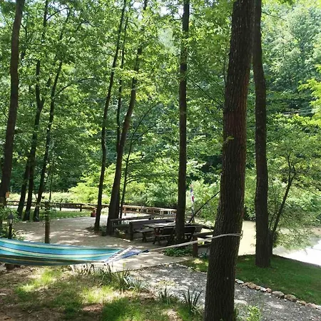 Ktm Lisine Деспотовац