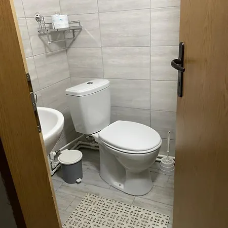 Ktm Lisine Вилла Деспотовац