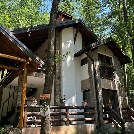 Ktm Lisine Вилла Деспотовац