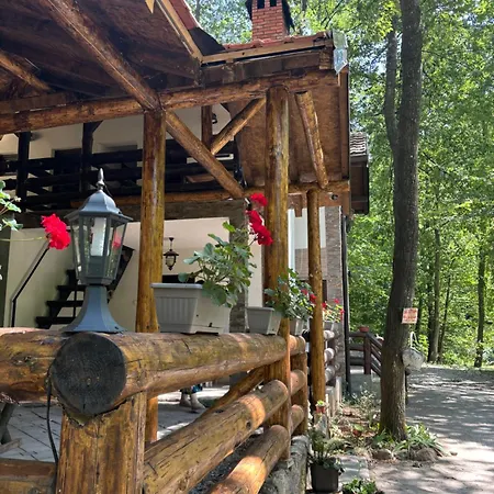 Ktm Lisine * Деспотовац