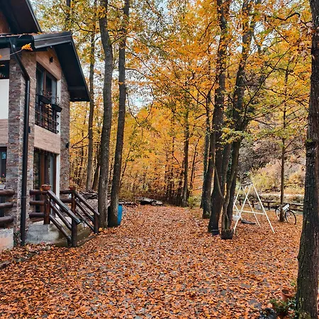 Ktm Lisine Вилла Деспотовац