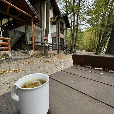 Ktm Lisine Вилла Деспотовац