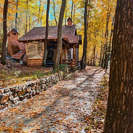 Ktm Lisine * Деспотовац