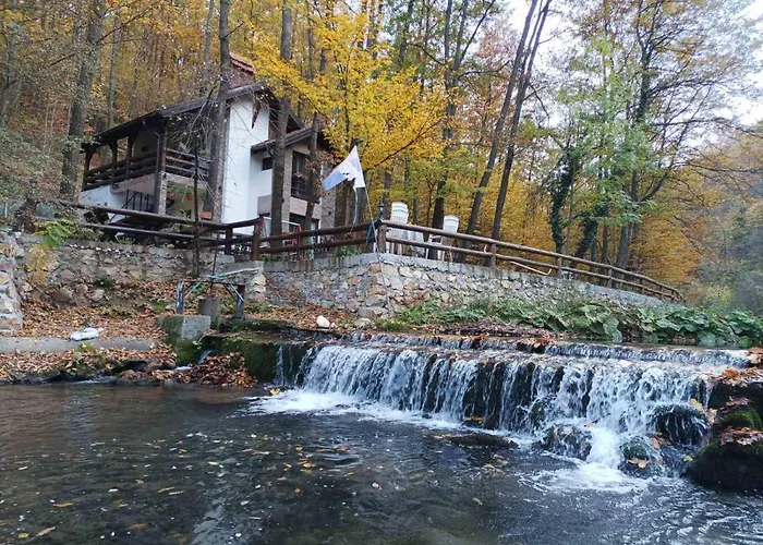 Ktm Lisine * Despotovac