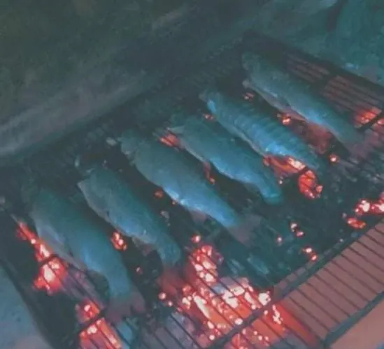 Ktm Lisine Villa Despotovac