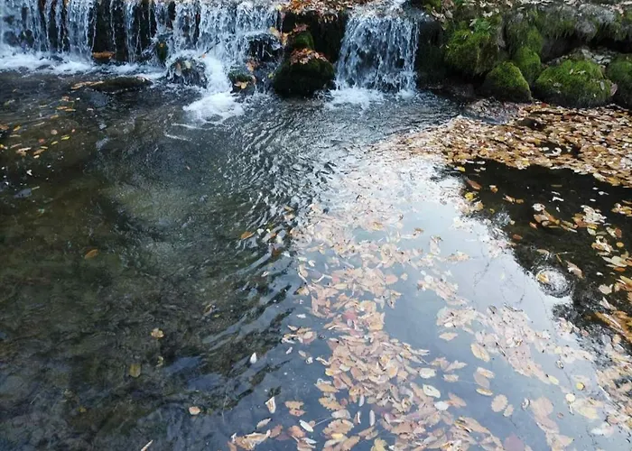 Villa Ktm Lisine Despotovac