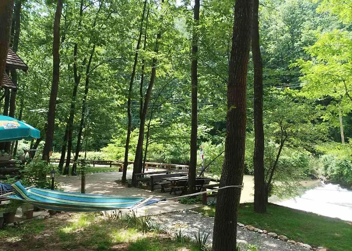 Ktm Lisine Despotovac