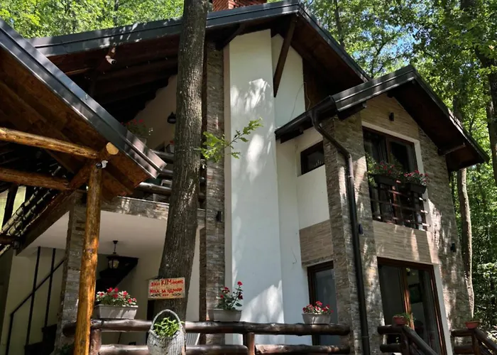 Ktm Lisine Villa Despotovac