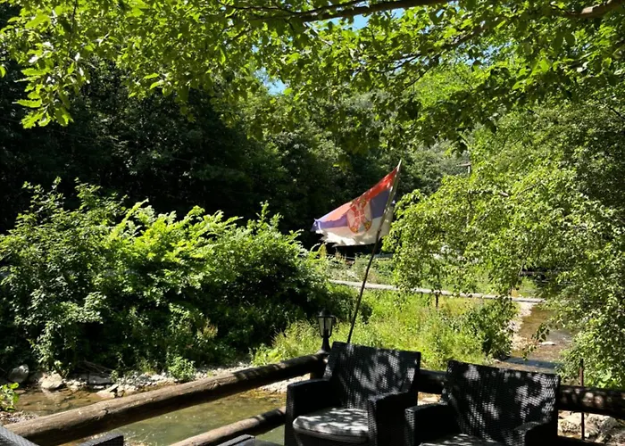 Ktm Lisine Despotovac