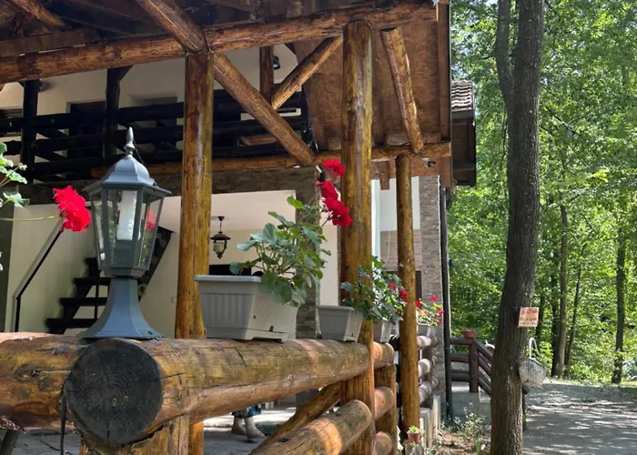 Ktm Lisine * Despotovac