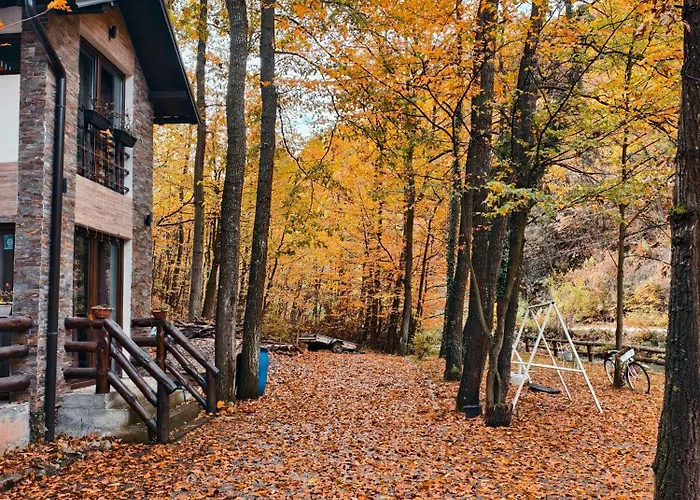 Ktm Lisine Villa Despotovac