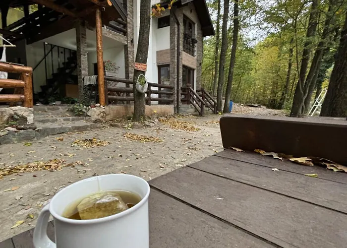 Ktm Lisine Villa Despotovac