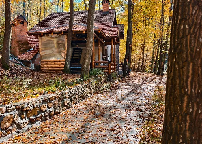 Ktm Lisine * Despotovac